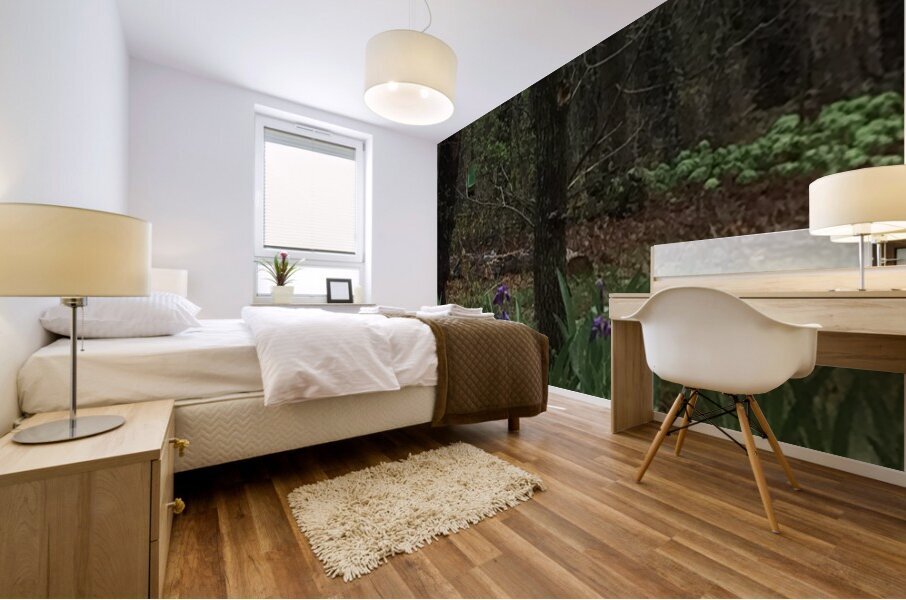14B28E93 0BDA 4529 BA9C 690B79CD1FDD Mural print