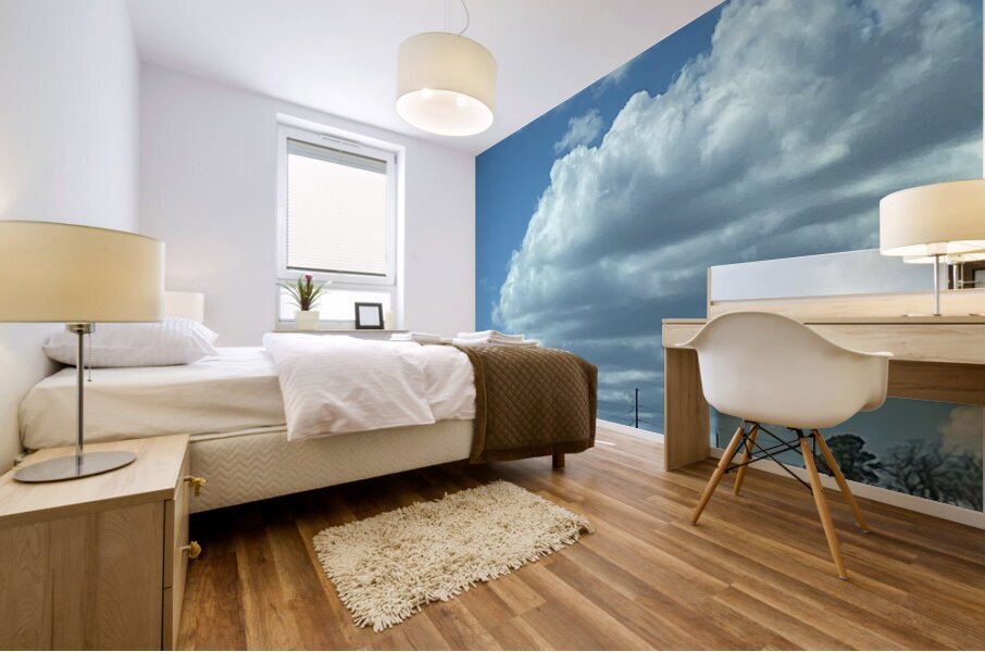 D56D00B4 C401 4977 BAF8 6F073106C11D Mural print