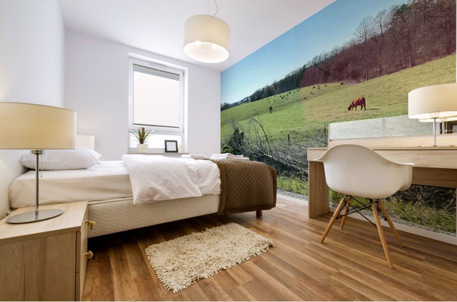169A0E9D 3812 4488 BFAD FB7CE073A64B Mural print