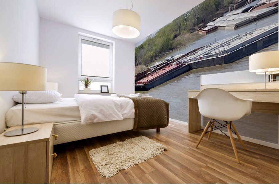 BAD072C0 7D64 4C86 A520 5744EAC51C12 Mural print