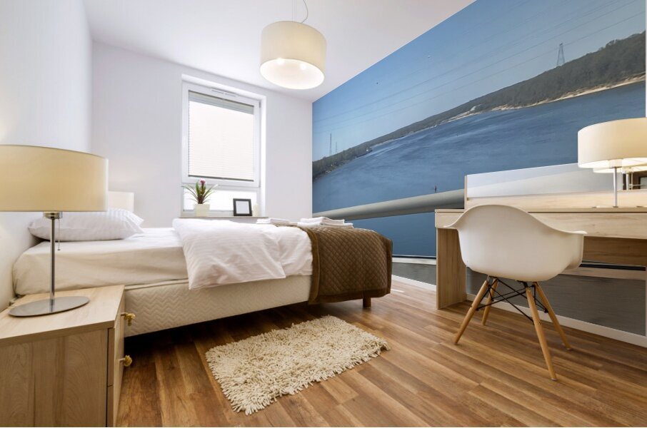 1A87F89D 334D 4AB8 97EA 7E76E840849D Mural print