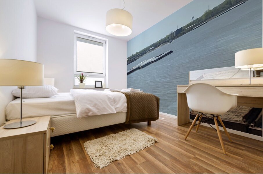 7C70F917 1ADC 4D2E 8325 E65911EA9C93 Mural print