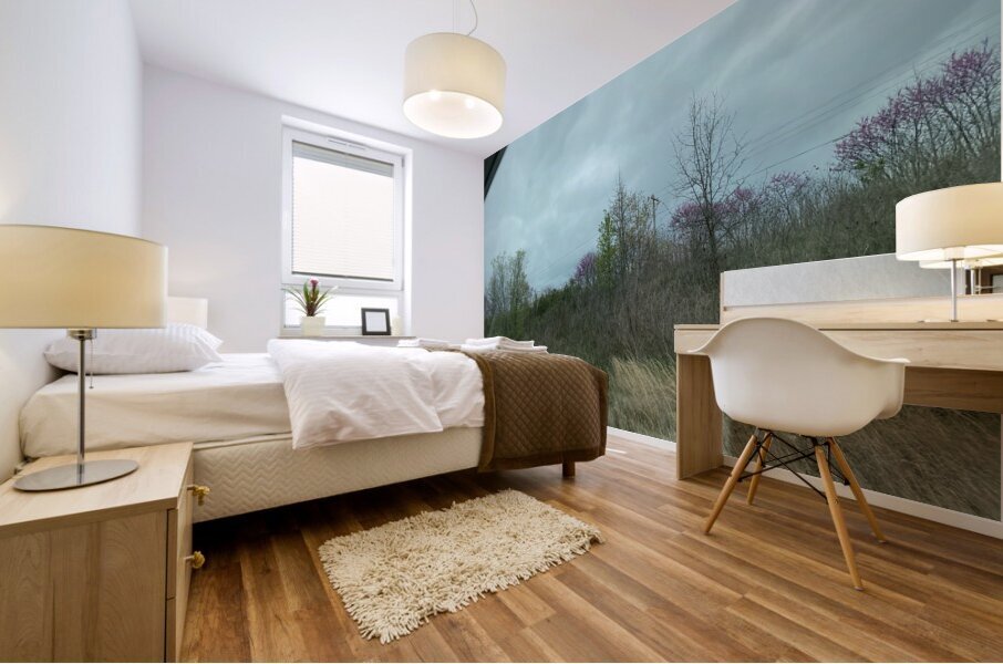 C9FC36C7 486D 4279 B5C6 EA32A03ECF35 Mural print
