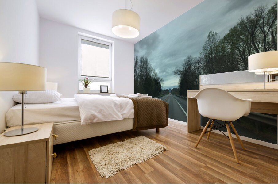 AA711B66 011C 48E4 81FB DF4A079163BB Mural print