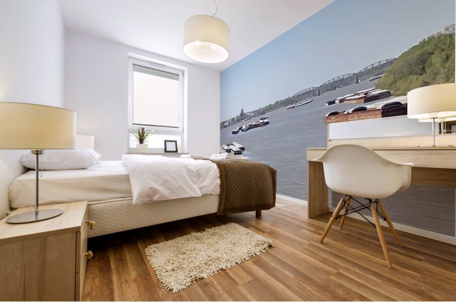 71409E0E 4743 4D75 AF65 94F69810DB45 Mural print