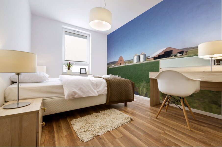 277FAEEA D49D 423B 8450 3D1BB561F64D Mural print