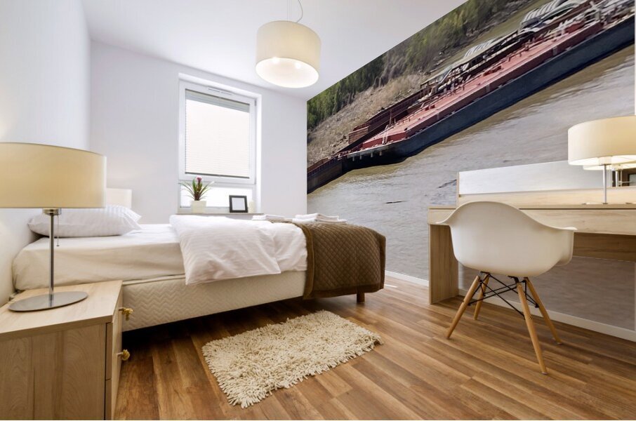 1D43A73A 2075 4E1E 944C EB81C874C9B3 Mural print