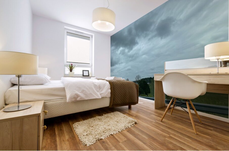 99D396EF 4619 4D99 B21A 7EC068623B1B Mural print