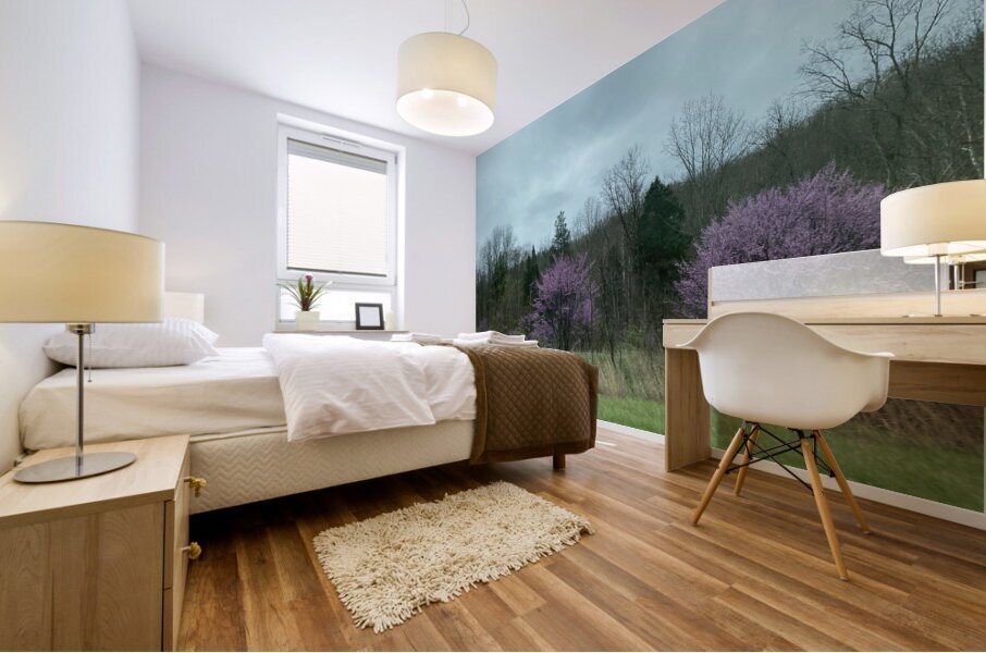 24960C0C AE0A 4248 A807 831F35B2B854 Mural print