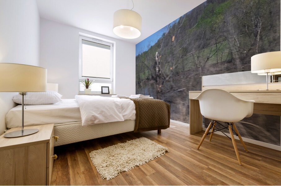 F53A80AD CCC0 40D4 B601 2ACC33CE10C3 Mural print