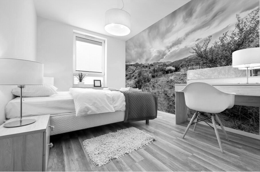 Stormy Skies At Red Rock Canyon Grayscale Mural print