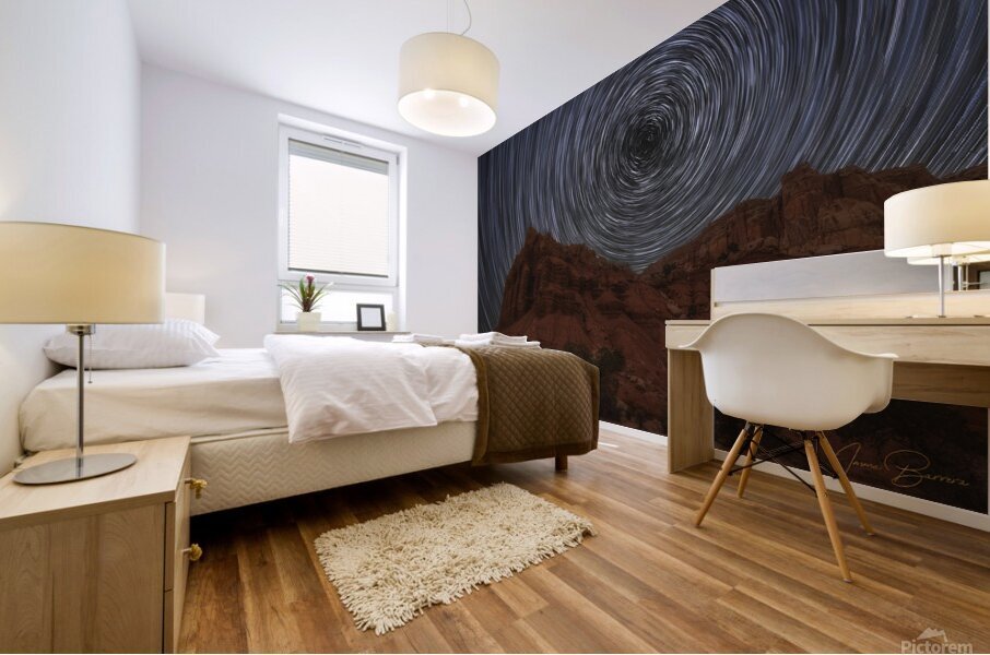 Capitol Reef 2022 4 Mural print