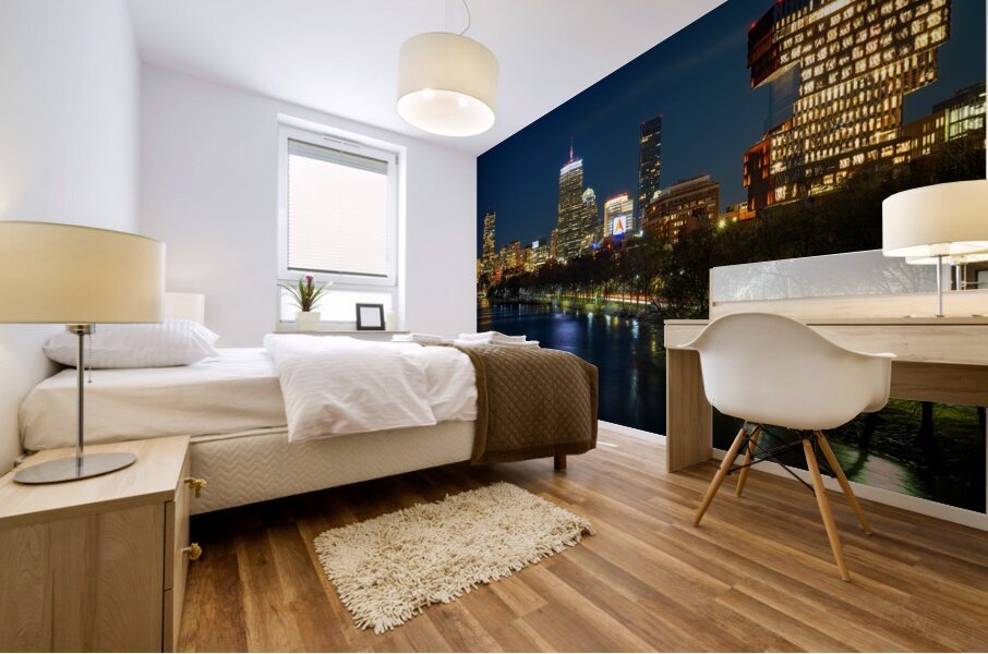 Boston Nocturne Mural print