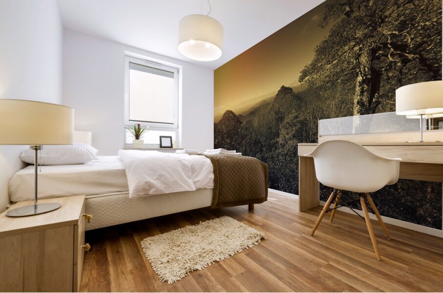 Smoky Mountains Forest Overlook Mural print