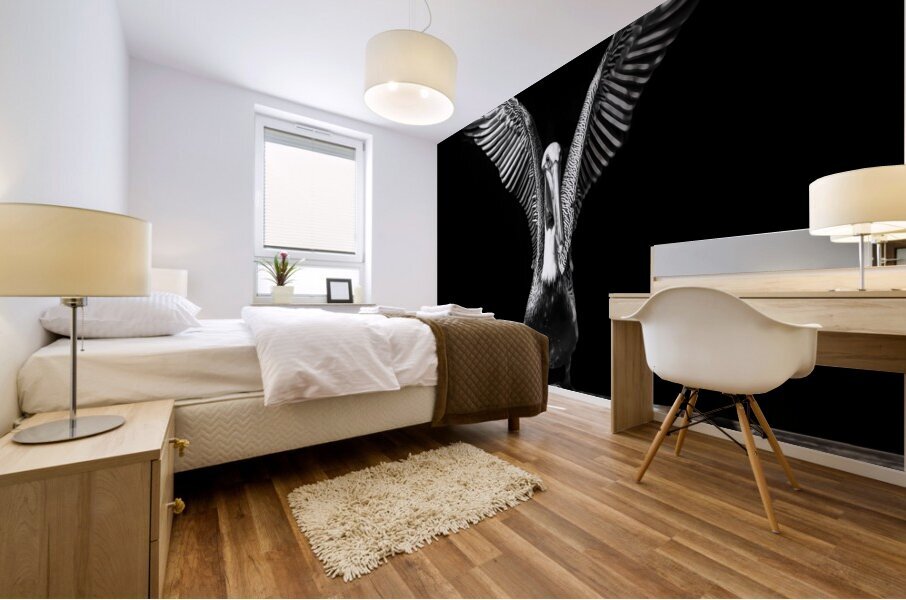 Pelican Take Off in Black and White Mural print