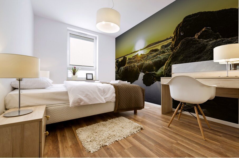 Reflections Mural print