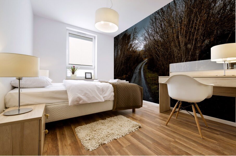 Burren National Park V Mural print