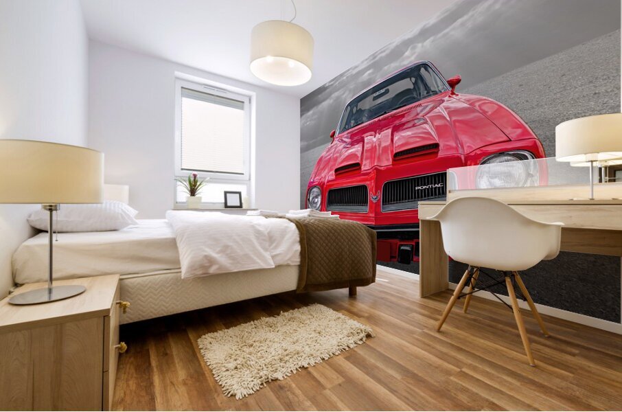 1974 Pontiac Firebird Formula 400 Head On Mural print
