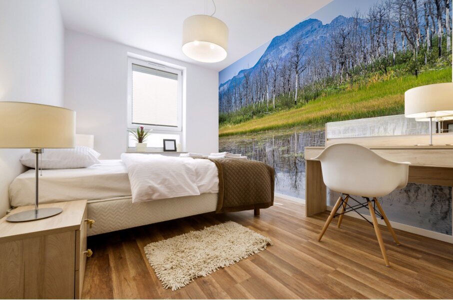Waterton Lakes Trees Mural print