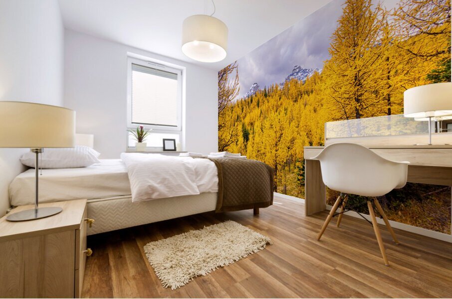 Larch Valley Gold Mural print