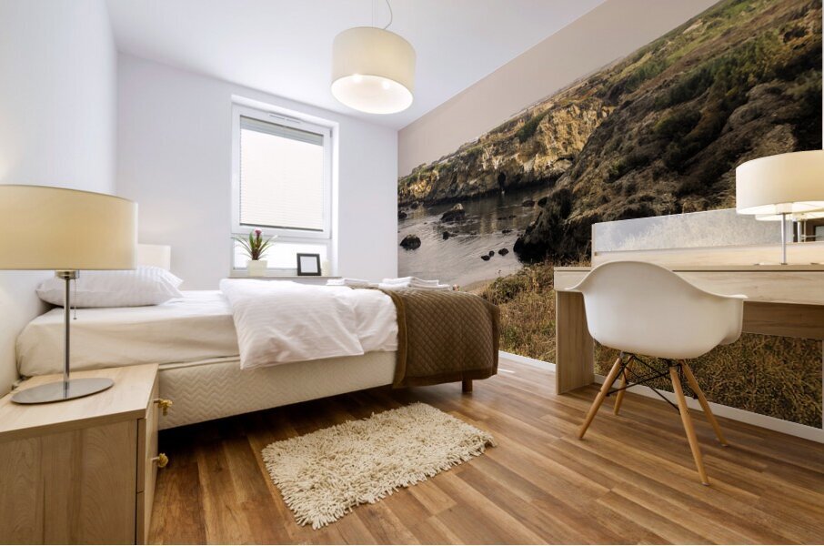 The Shell Collectors P Mural print