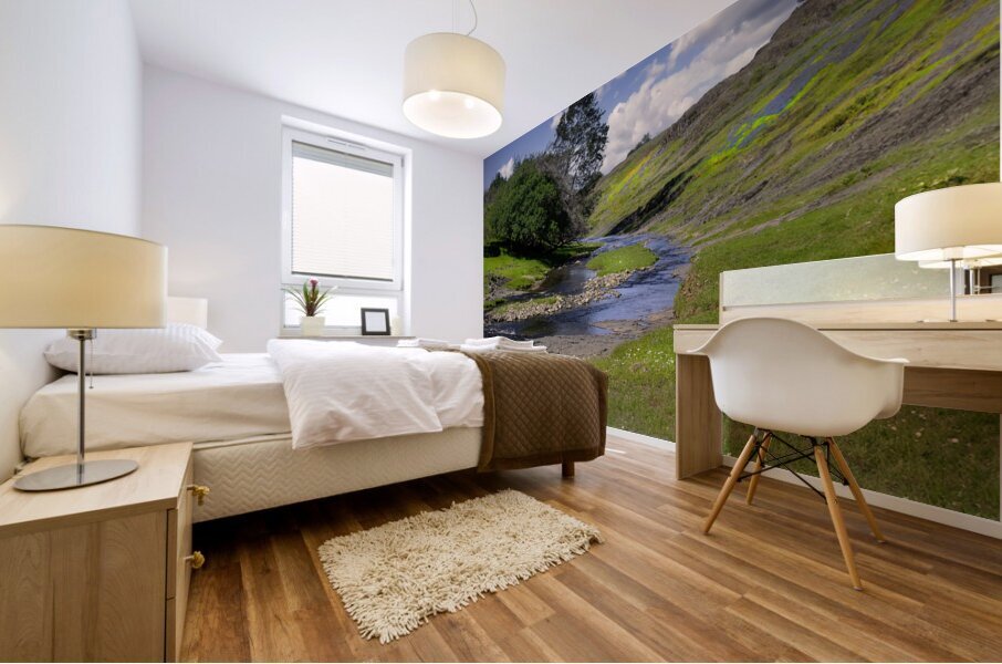 Table Mountain Stream P Mural print