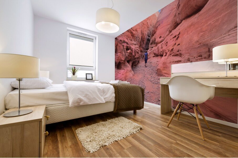 The Pink Slot Canyon Mural print