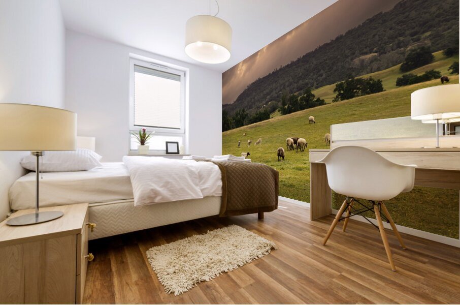 Grazing Sheep Mural print