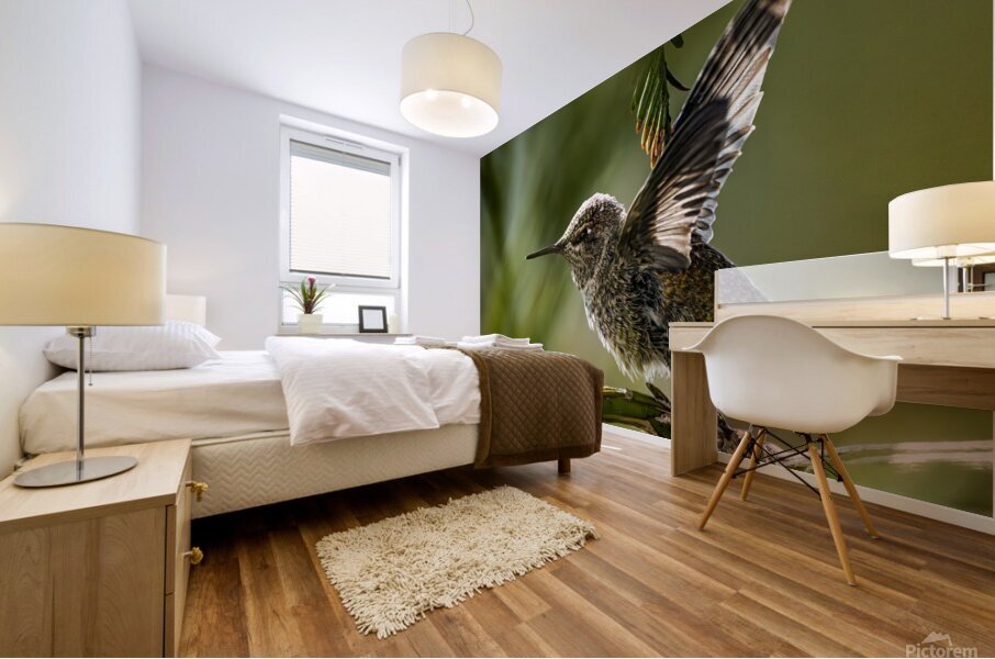 Hummingbird Taking Flight Mural print