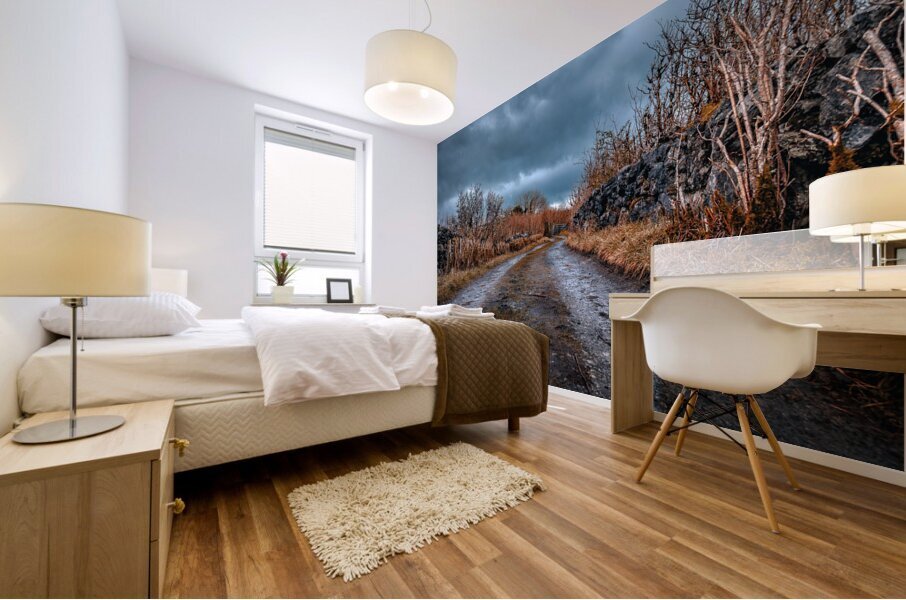Burren National Park Mural print