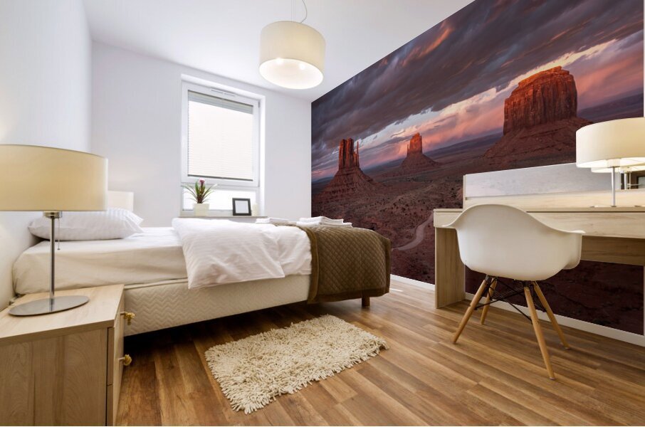 Monument Valley View Point Mural print