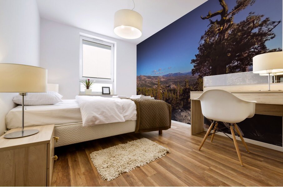 Eldorado National Forest Mural print