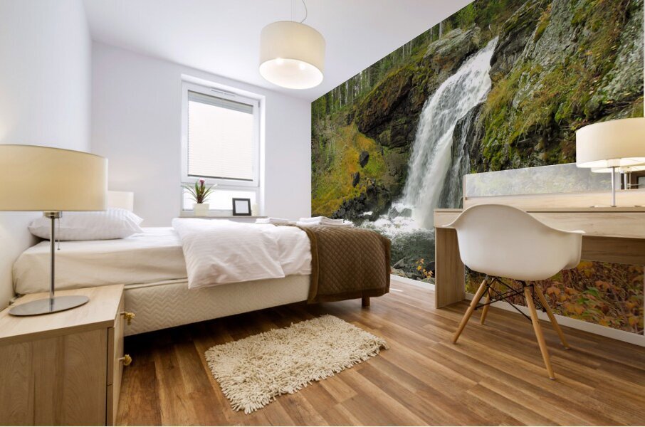 Yellowstone Moose Falls Mural print