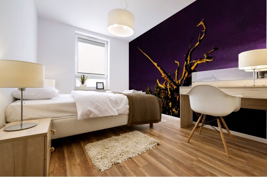 Old Sierra Malthusia Tree Mural print