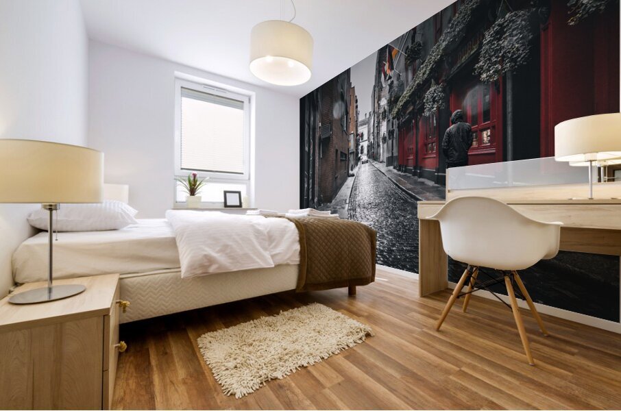 Dublin Mural print