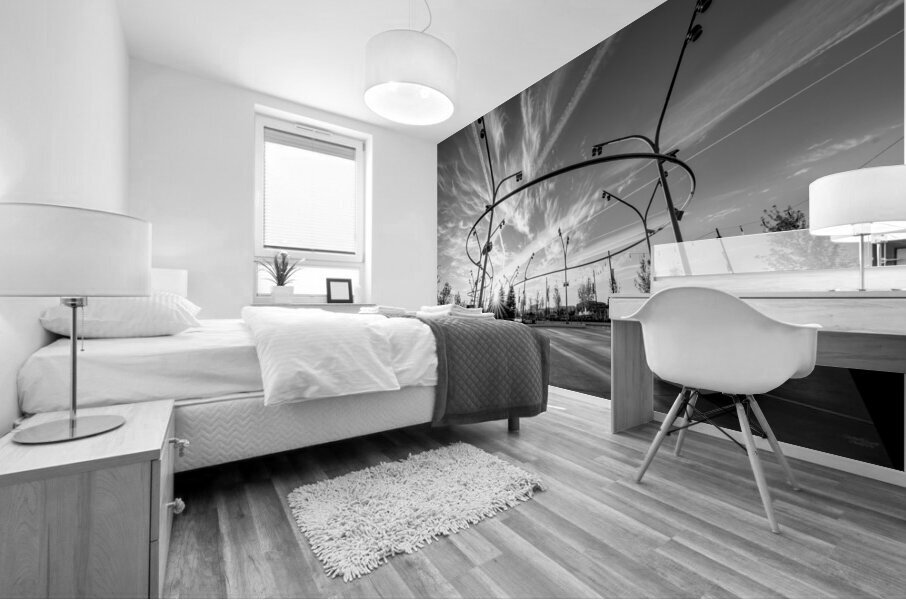 Omaha Skate Ribbon Morning Sunburst Grayscale Mural print