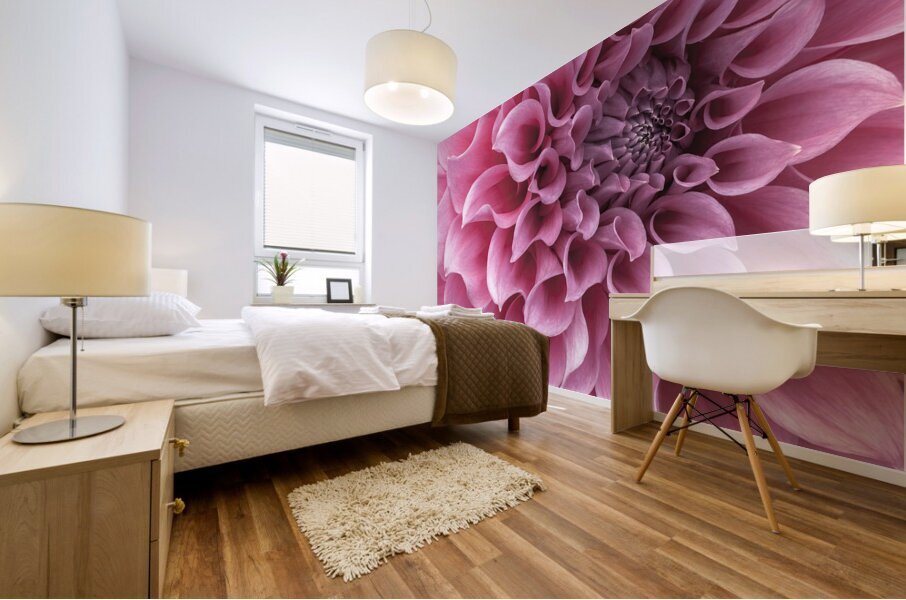 Dahlia Petals Mural print