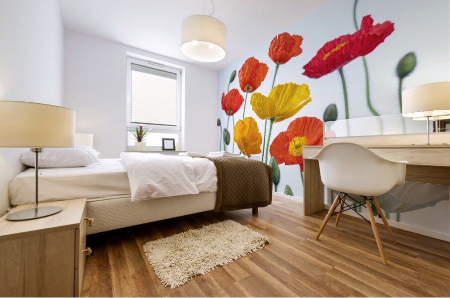Multi coloured Poppies Mural print