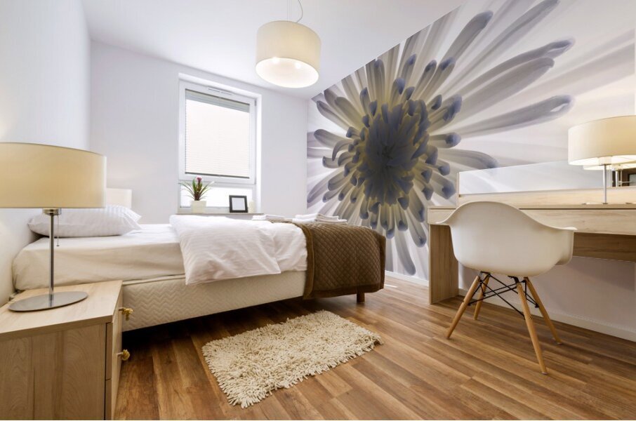 Chrysanthemums Mural print