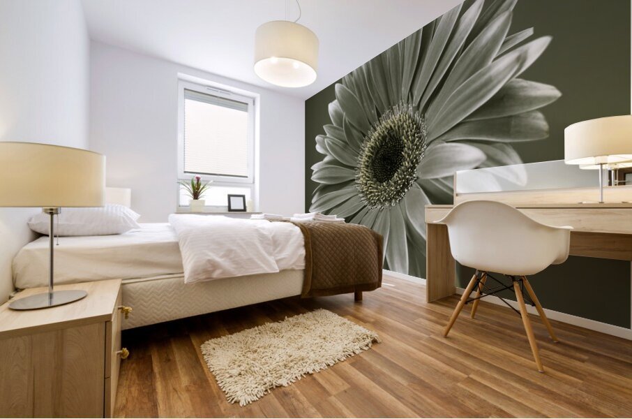 Fresh Gerbera Mural print
