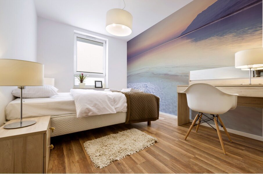 Dead Sea Shore Mural print