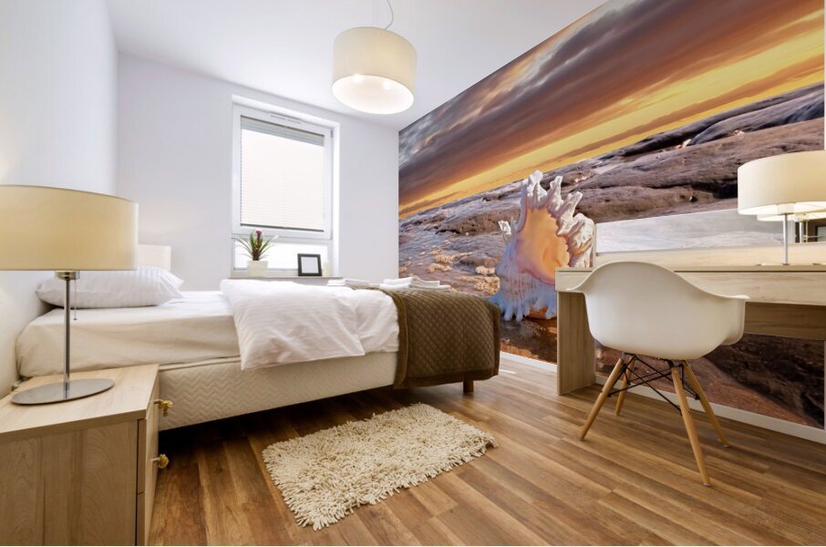 Murex Seashell Sunset Mural print