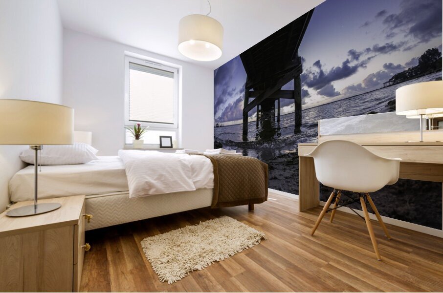 Low down Mural print