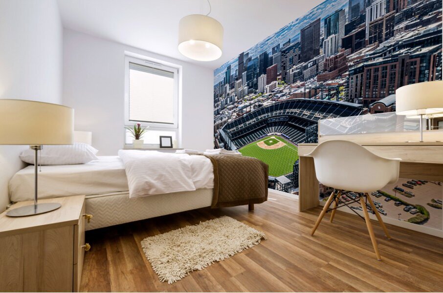 Denver Colorado Downtown 1 Mural print