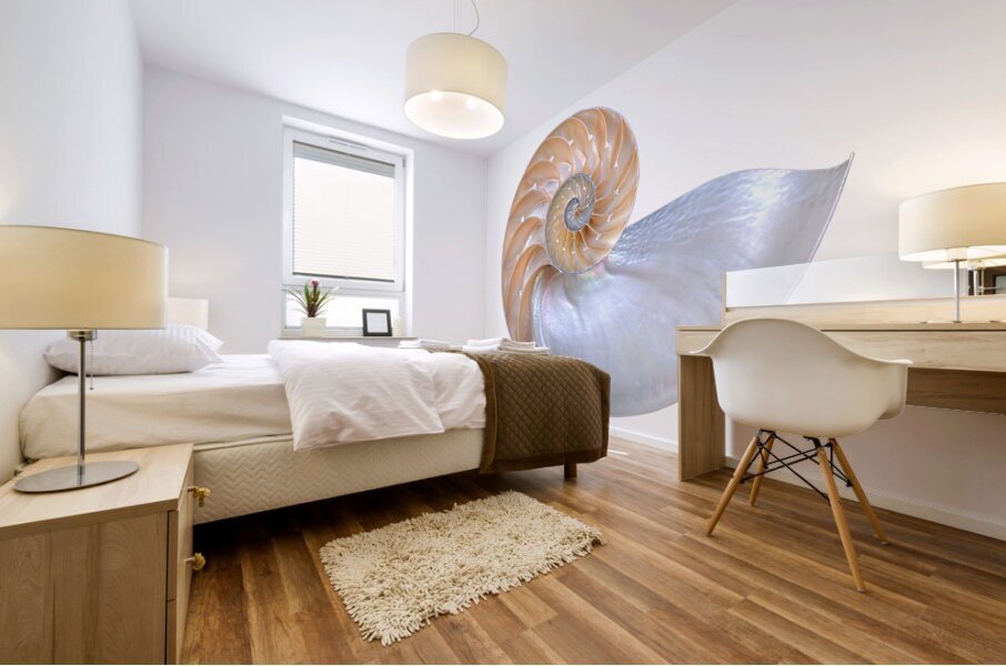 Natural Nautilus Seashell On White Mural print