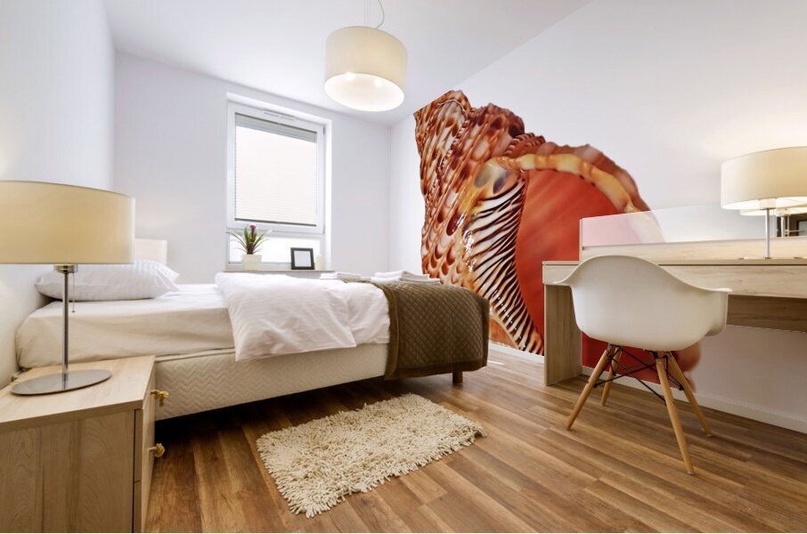 Triton Shell On White Vertical Mural print