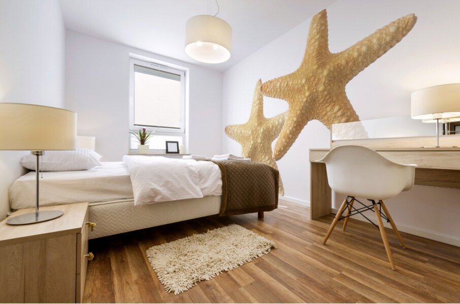 Starfish On White Mural print
