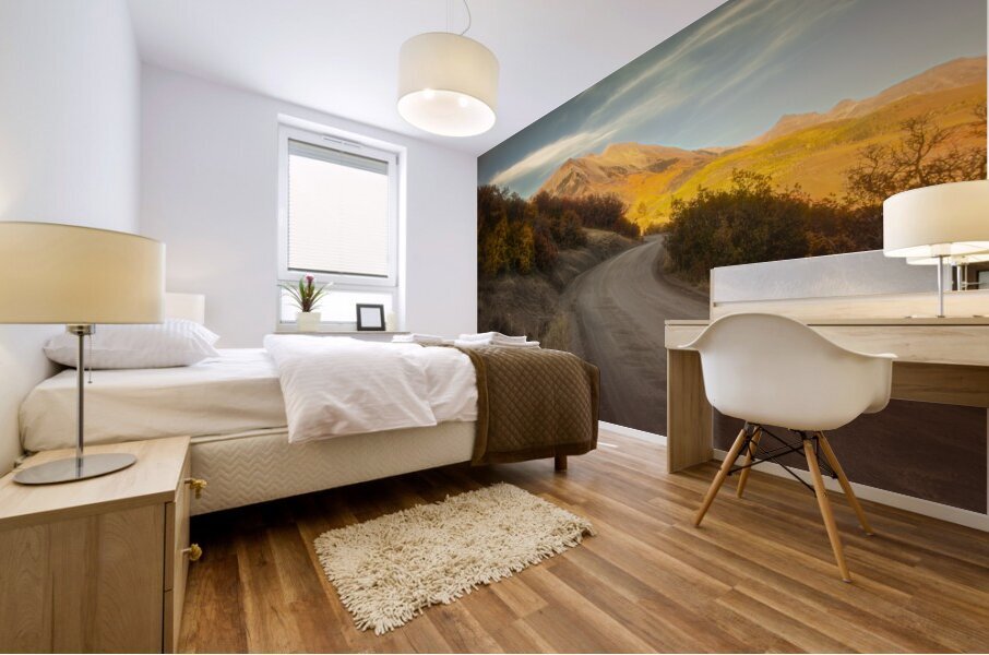 The Colorado Less Traveled Backroad Mountain Luminescence Mural print