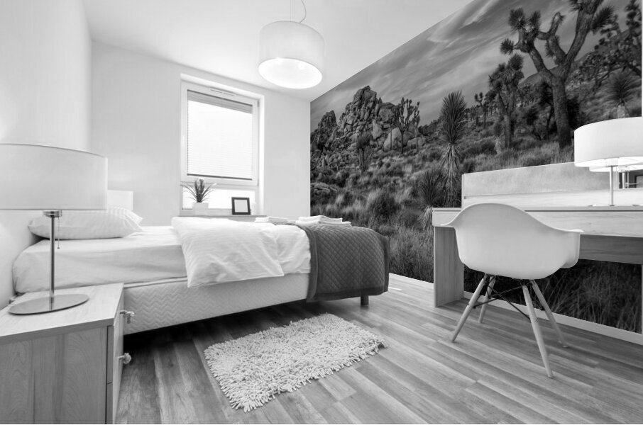 Joshua Tree National Park Mural print