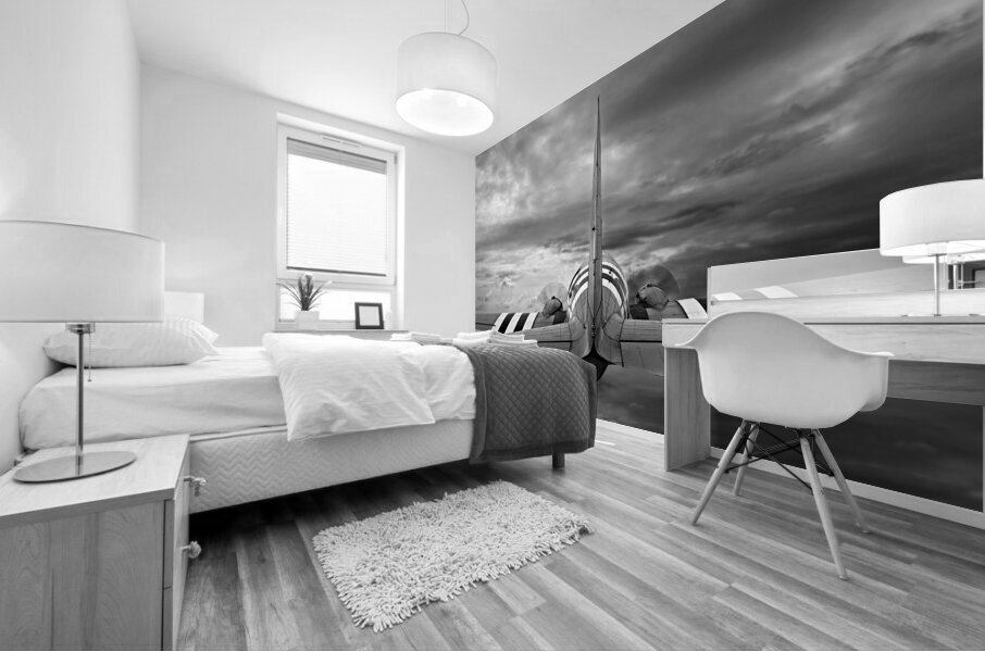 The Leader Dakota C-47 In Mono Mural print